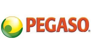 Pegaso